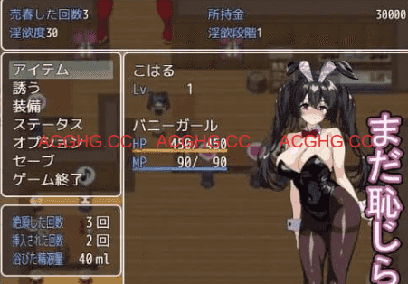 【RPG/AI汉化/MTool/CV】卖春兔的快乐堕落RPG：逐渐堕入淫欲的兔女郎v1.0.0【PC/1.6G】